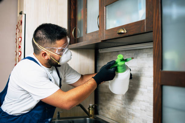 Best Pest Control Treatment  in Mathews, LA
