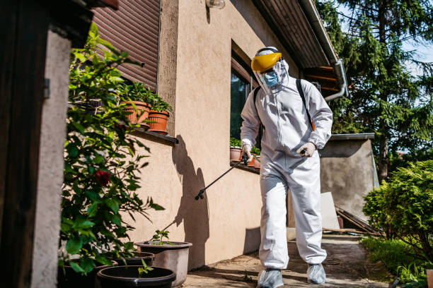 Best Emergency Pest Control  in Mathews, LA