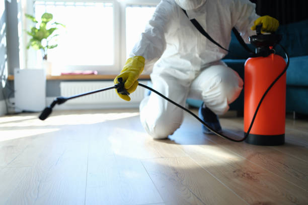 Best Flea Control Services  in Mathews, LA