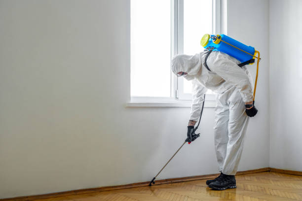 Best Residential Pest Control  in Mathews, LA