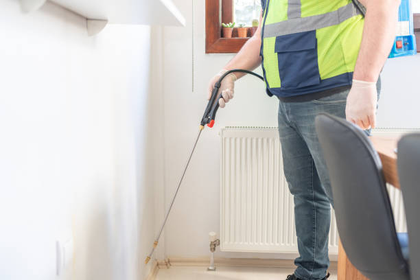 Best Pest Control for Homes  in Mathews, LA